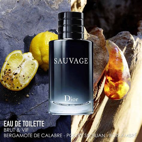 eau de toilette eau sauvage de dior|sauvage eau de toilette 200ml.